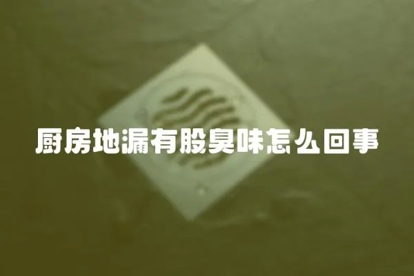 廚房地漏有股臭味怎么回事