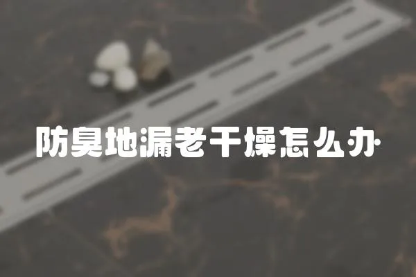 防臭地漏老干燥怎么辦