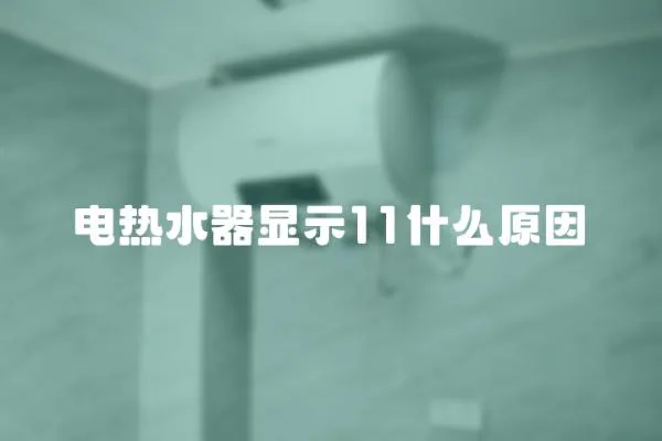 電熱水器顯示11什么原因