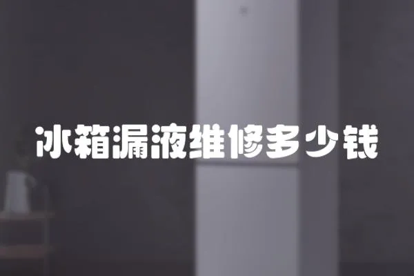冰箱漏液維修多少錢