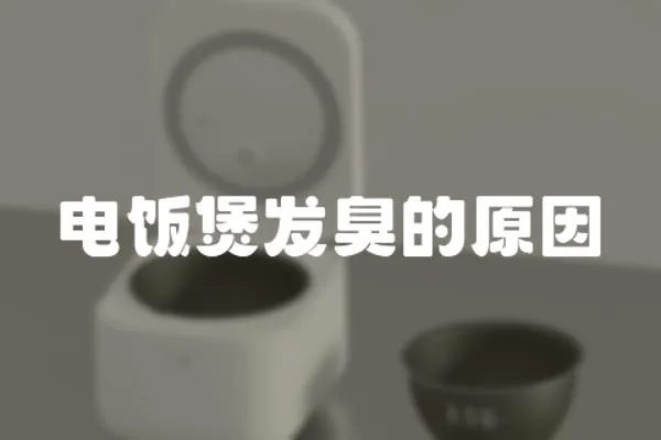 電飯煲發臭的原因