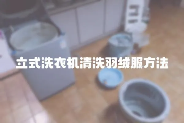 立式洗衣機清洗羽絨服方法