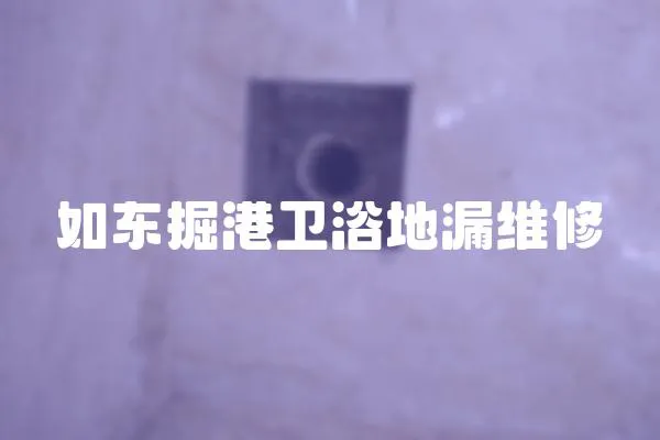 如東掘港衛浴地漏維修