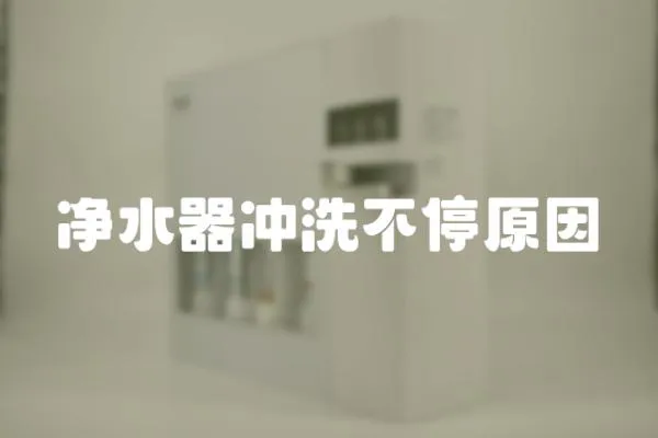 凈水器沖洗不停原因