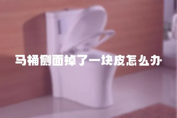 馬桶側(cè)面掉了一塊皮怎么辦