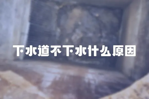 下水道不下水什么原因