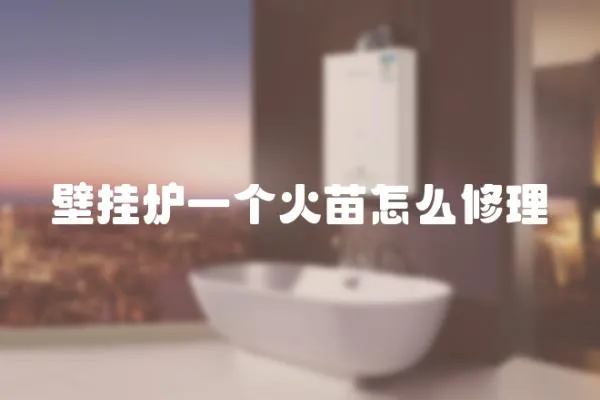 壁掛爐一個火苗怎么修理