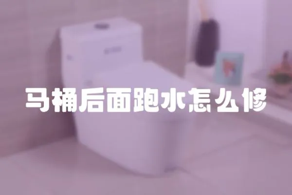 馬桶后面跑水怎么修