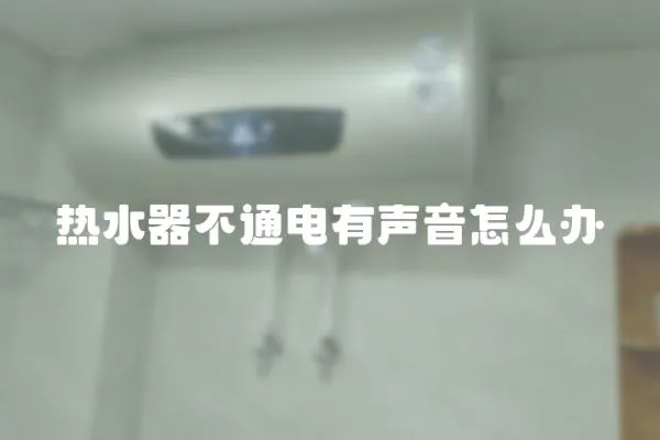 熱水器不通電有聲音怎么辦