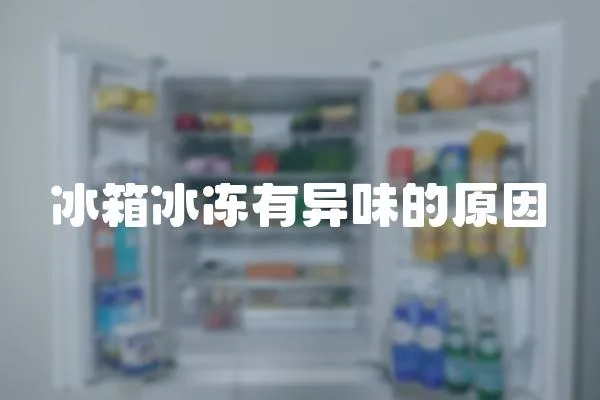 冰箱冰凍有異味的原因