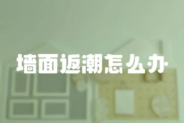 墻面返潮怎么辦