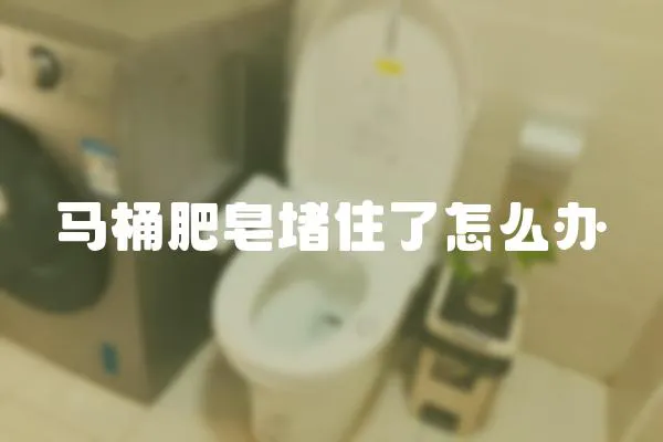 马桶肥皂堵住了怎么办