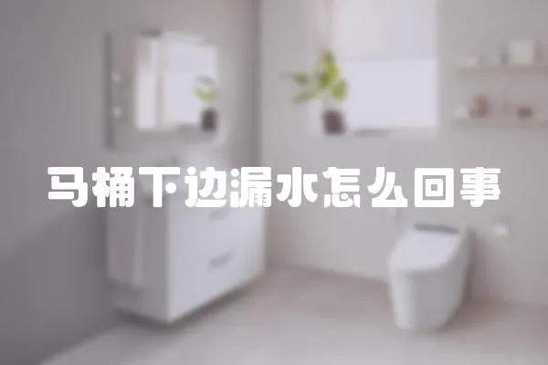 馬桶下邊漏水怎么回事