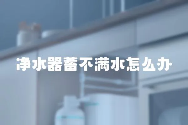 凈水器蓄不滿水怎么辦