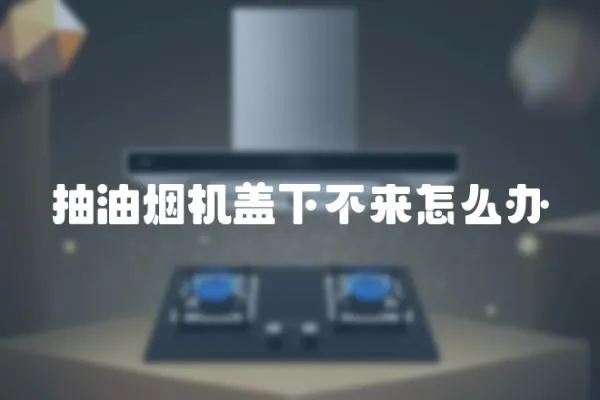 抽油煙機蓋下不來怎么辦