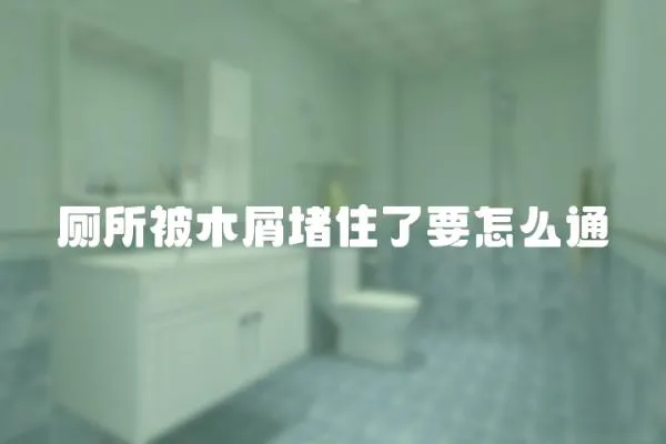 廁所被木屑堵住了要怎么通