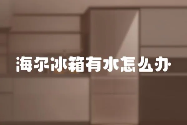 海爾冰箱有水怎么辦