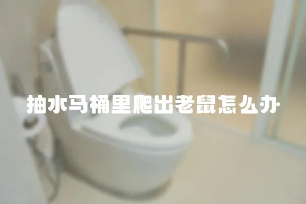 抽水馬桶里爬出老鼠怎么辦