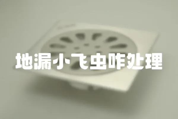 地漏小飛蟲咋處理