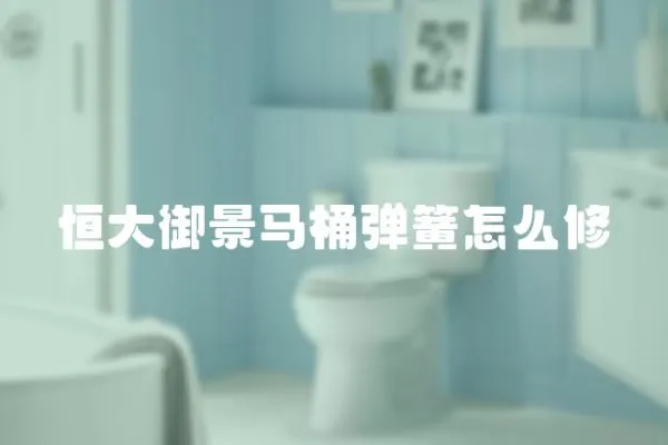 恒大御景馬桶彈簧怎么修