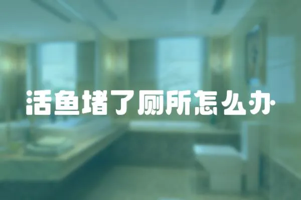活魚堵了廁所怎么辦