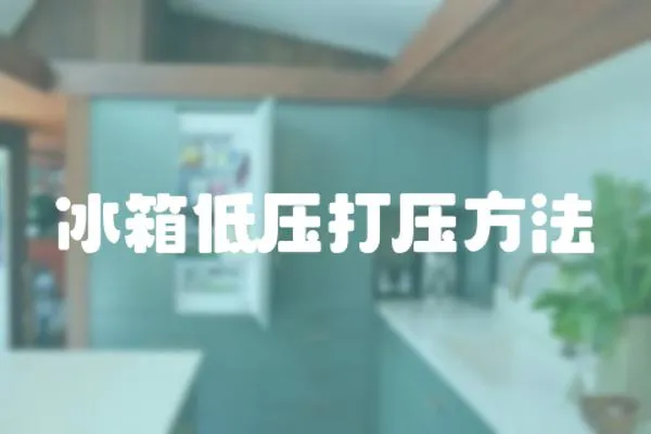 冰箱低壓打壓方法