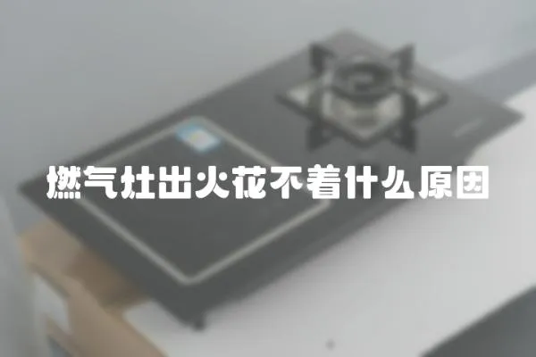 燃氣灶出火花不著什么原因