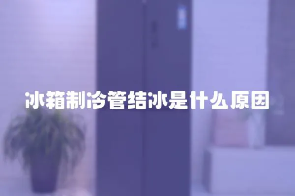 冰箱制冷管結(jié)冰是什么原因