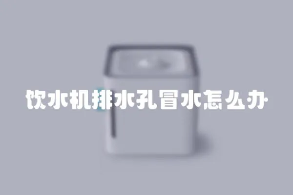 飲水機排水孔冒水怎么辦