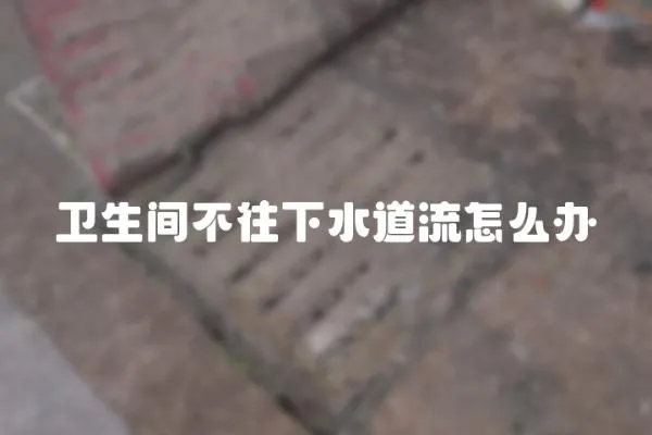 衛生間不往下水道流怎么辦