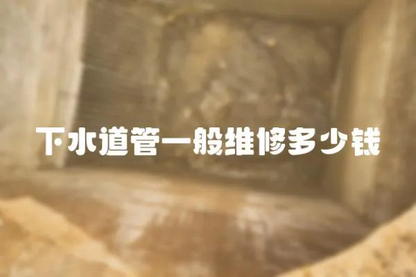 下水道管一般維修多少錢