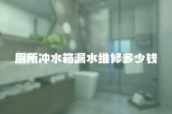 廁所沖水箱漏水維修多少錢