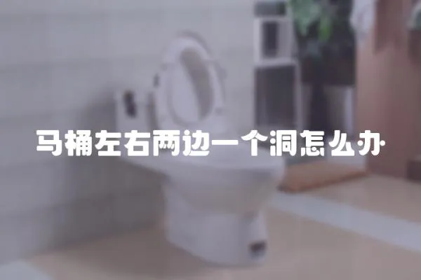 馬桶左右兩邊一個洞怎么辦