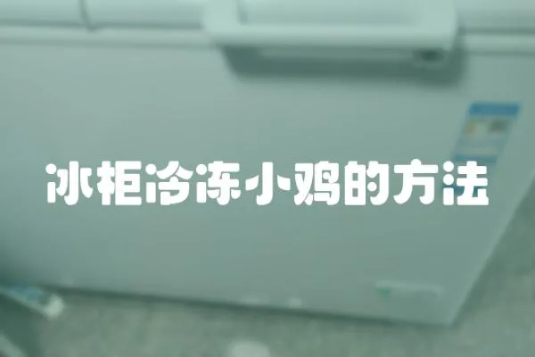 冰柜冷凍小雞的方法