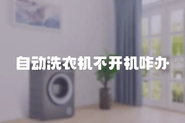 自動洗衣機不開機咋辦