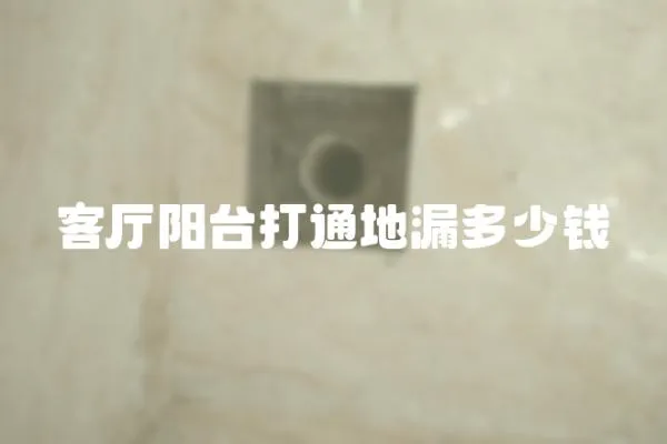 客廳陽臺(tái)打通地漏多少錢