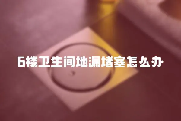 6樓衛生間地漏堵塞怎么辦