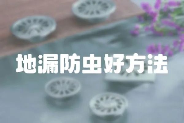 地漏防蟲好方法