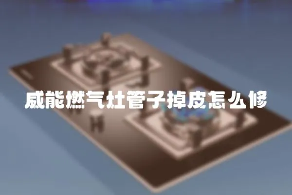 威能燃氣灶管子掉皮怎么修