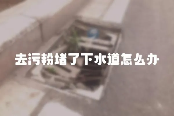 去污粉堵了下水道怎么辦