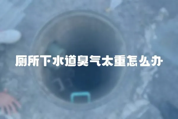 廁所下水道臭氣太重怎么辦