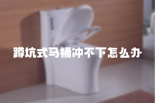 蹲坑式馬桶沖不下怎么辦