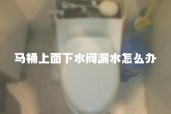馬桶上面下水閥漏水怎么辦