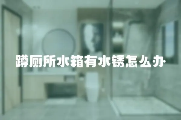 蹲廁所水箱有水銹怎么辦