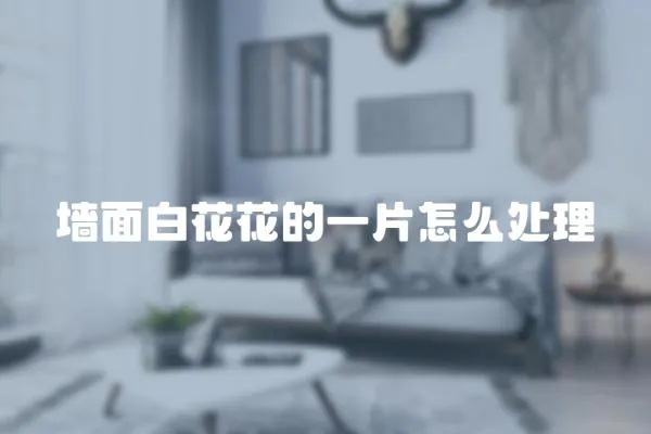 墻面白花花的一片怎么處理