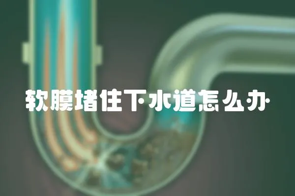 軟膜堵住下水道怎么辦