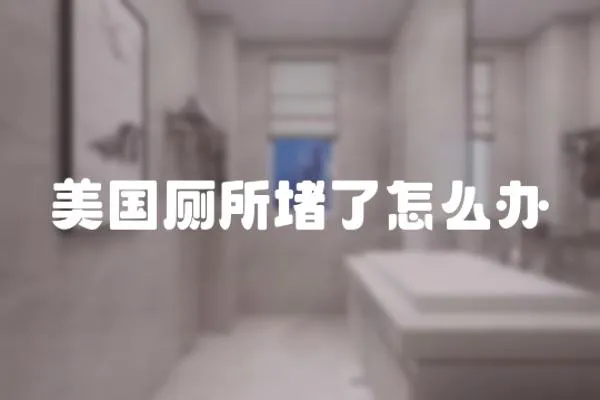 美國廁所堵了怎么辦