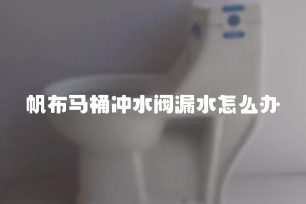 帆布馬桶沖水閥漏水怎么辦