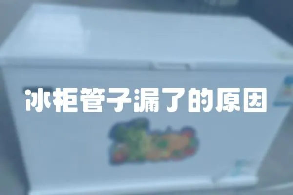 冰柜管子漏了的原因