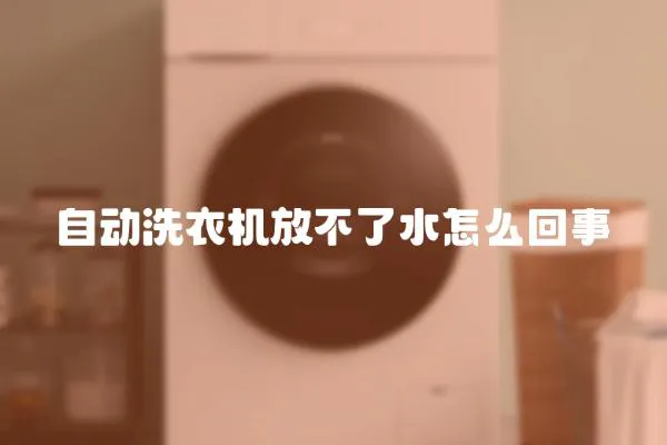 自動洗衣機放不了水怎么回事
